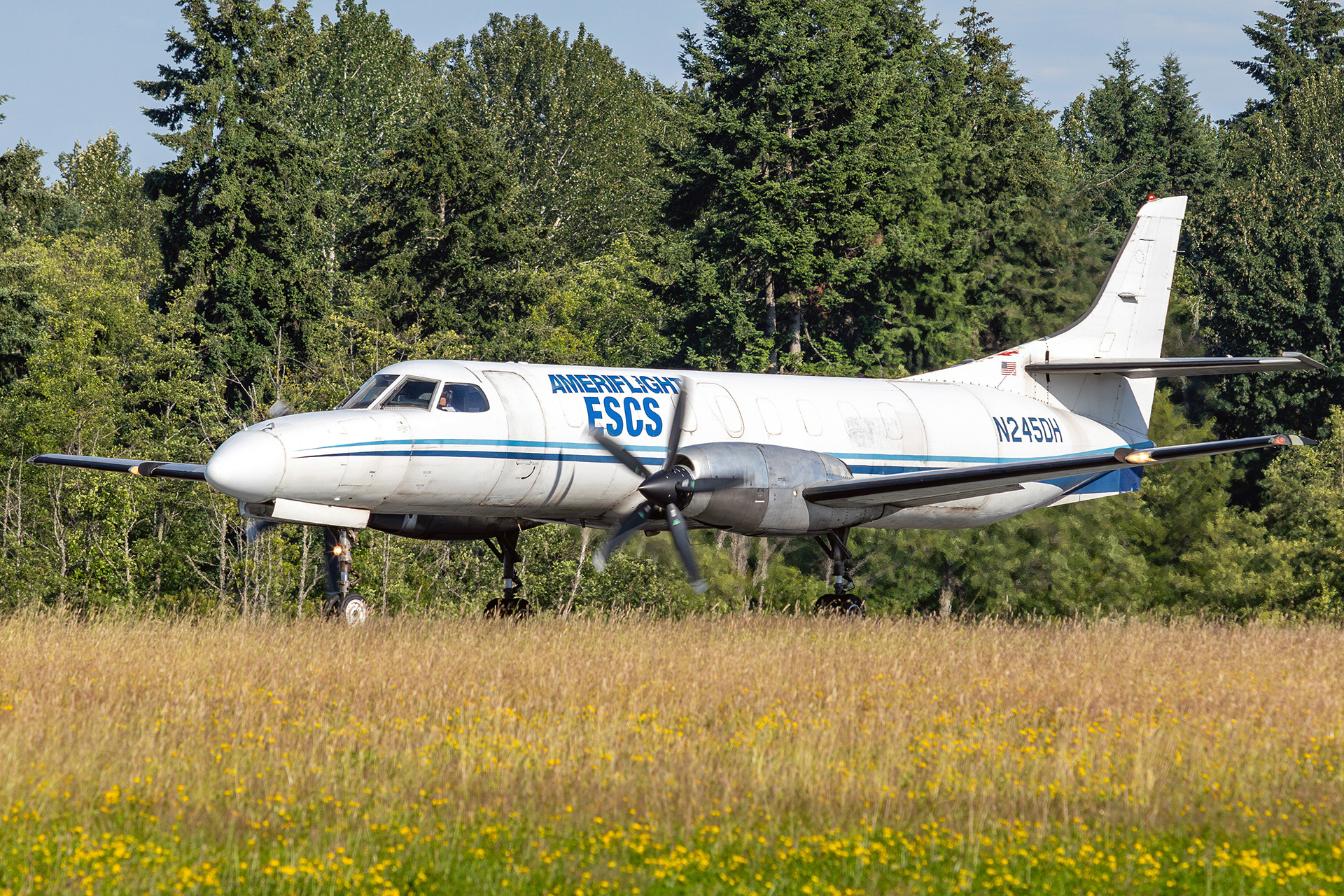 N245DH